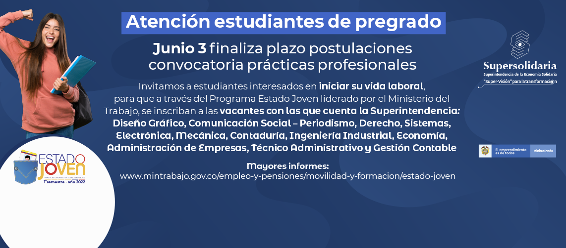 Termina plazo postulaciones prácticas profesionales programa Estado Joven