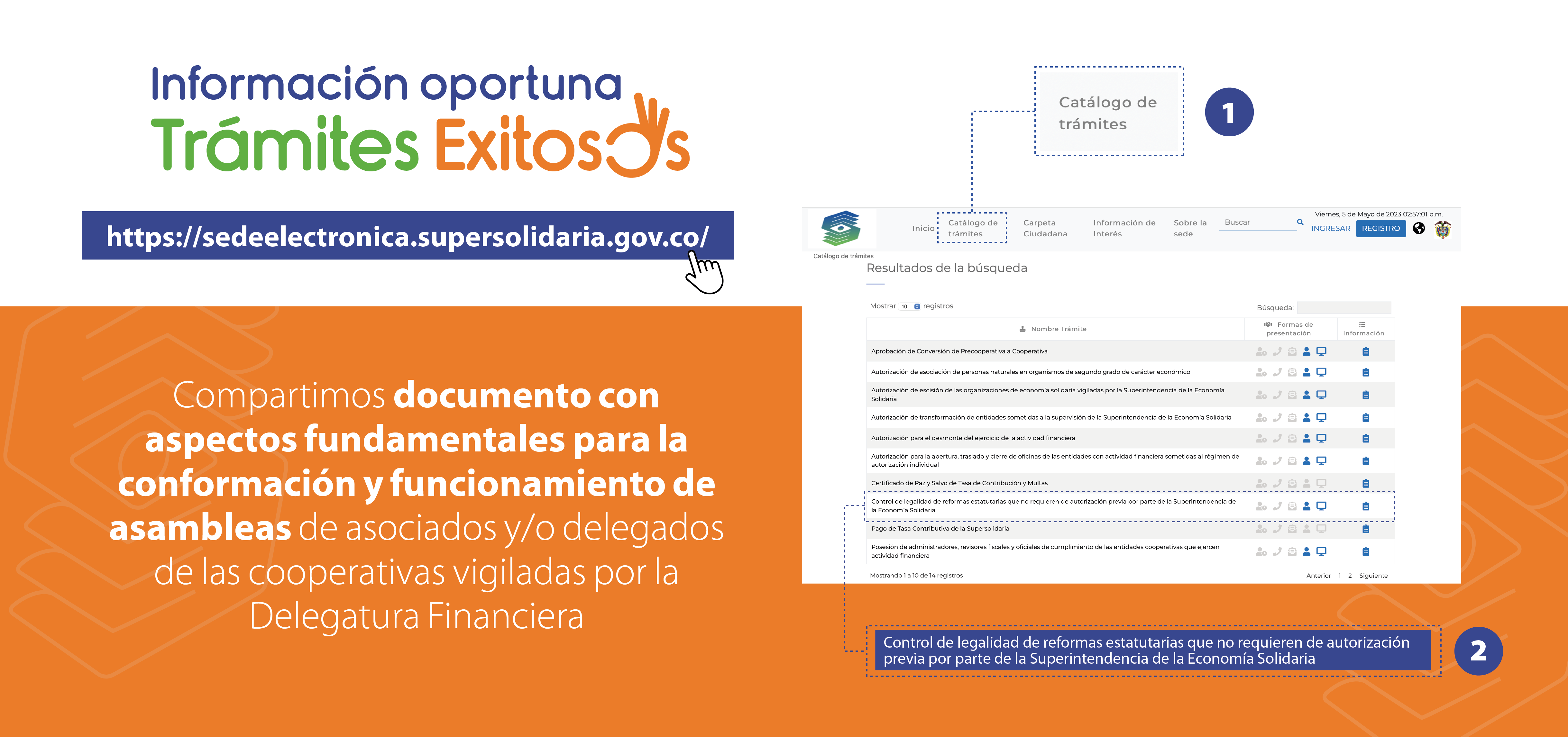 Información trámite control legalidad reformas estatutarias que no requieren autorización previa