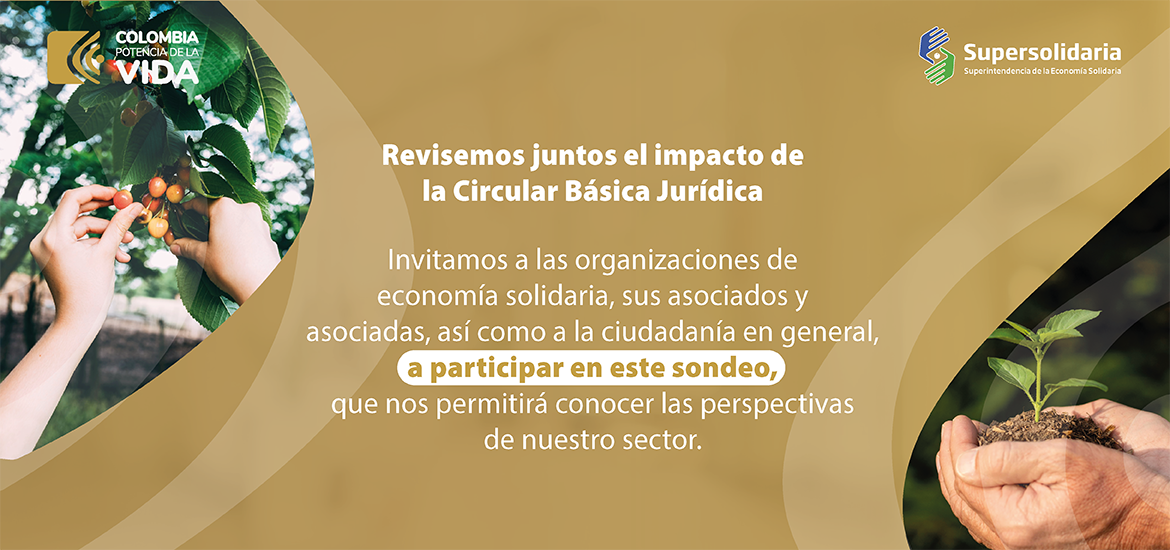 Sondeo Perspectivas Sector Solidario sobre Impacto Circular Básica Jurídica