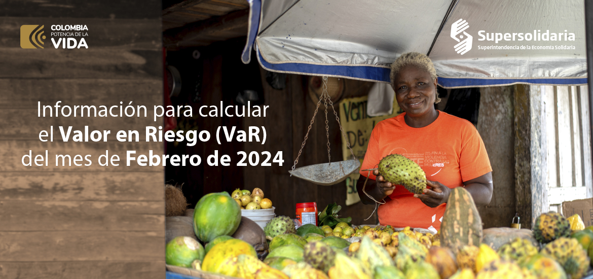 Información para el cálculo del Valor en Riesgo (VaR) del mes de febrero de 2024