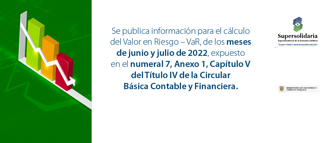 Información para el cálculo del Valor en Riesgo – VaR junio y julio