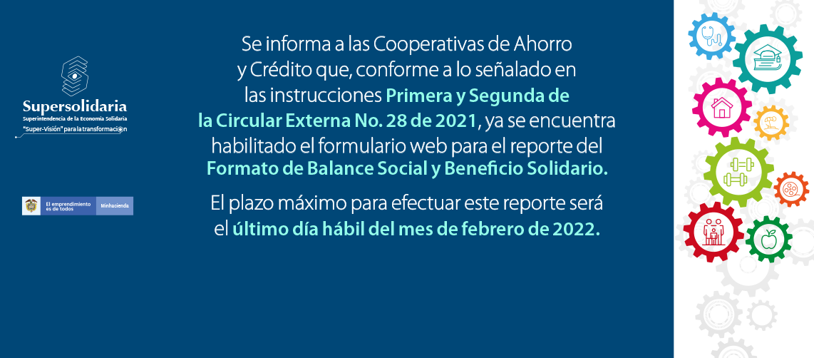 Habilitado el formulario web para el reporte del Formato de Balance Social y Beneficio Solidario.