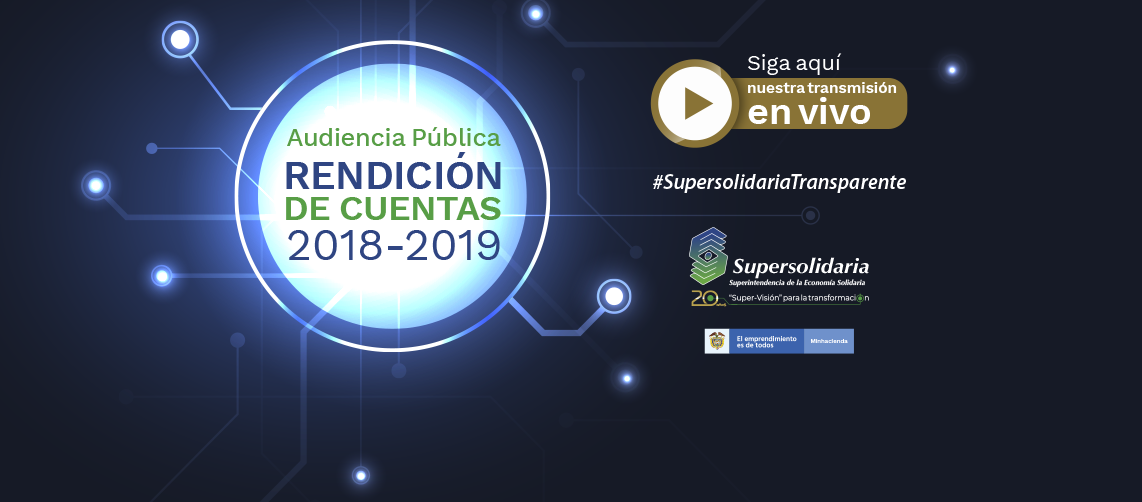 Audiencia Pública de Rendición de Cuentas 2018 - 2019