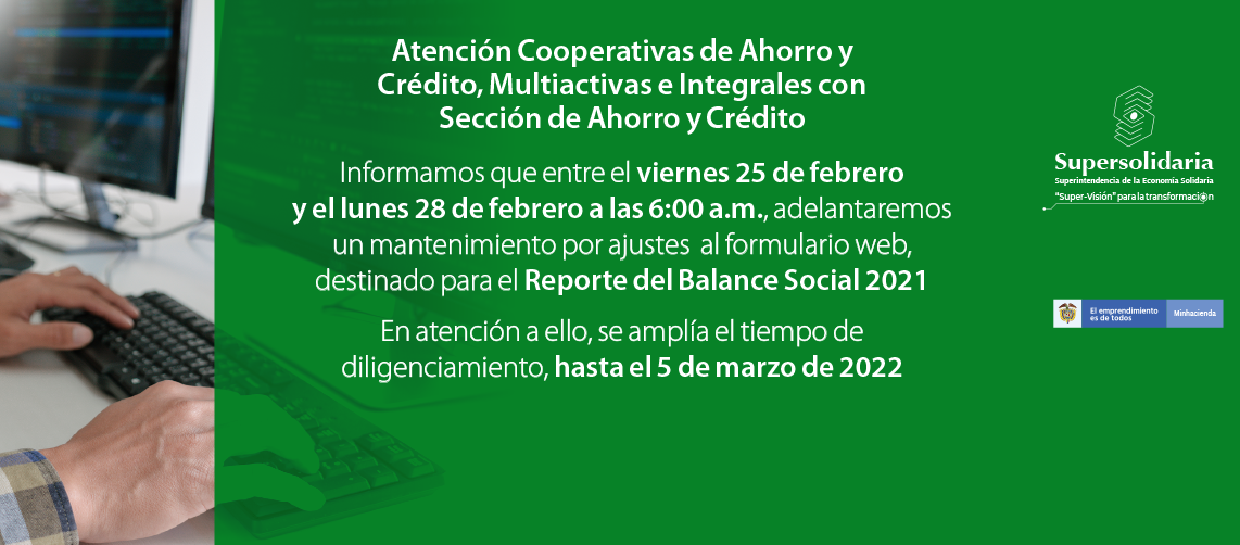 Ventana de Mantenimiento Formulario Web Balance Social 2021