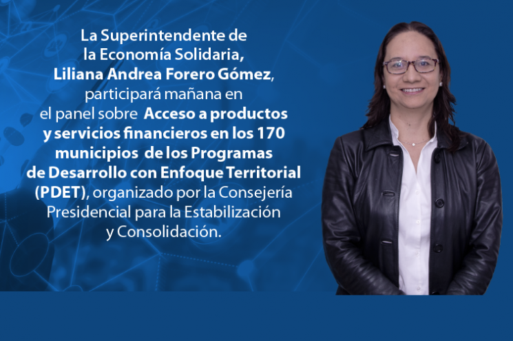 Superintendente en panel acceso productos y servicios financieros en 170 municipios PDET Superintendente en panel acceso productos y servicios financieros en 170 municipios PDET