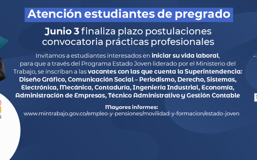 Termina plazo postulaciones prácticas profesionales programa Estado Joven