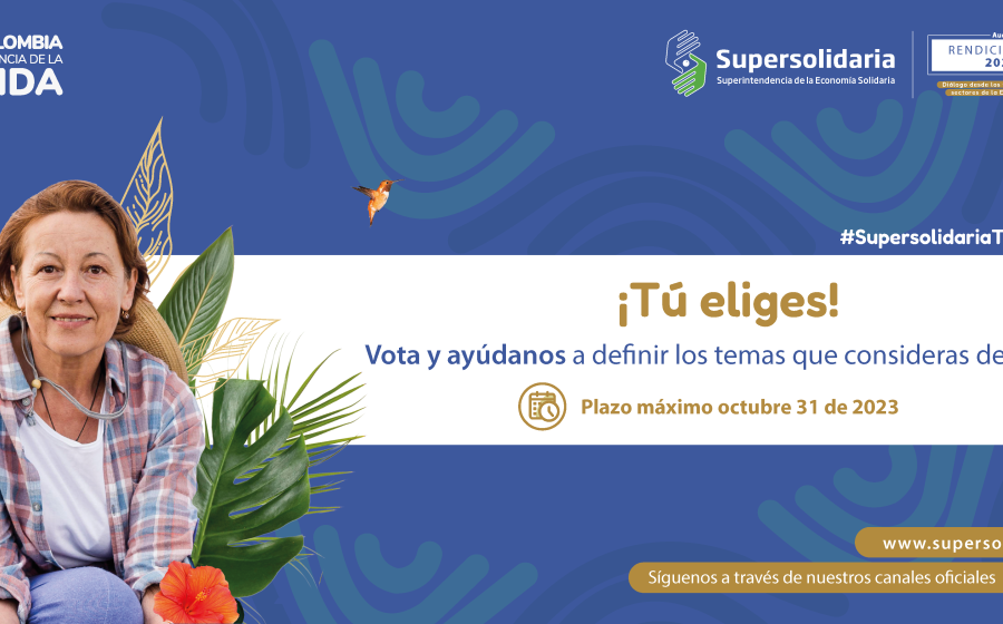 Consulta Temas Interés Audiencia Pública Rendición de Cuentas 2022 – 2023