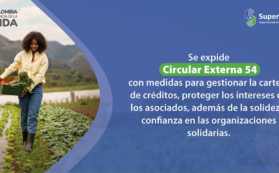 Conozca Modificación Anexos 1 y 2 Capítulo II Título IV Circular Básica Contable y Financiera