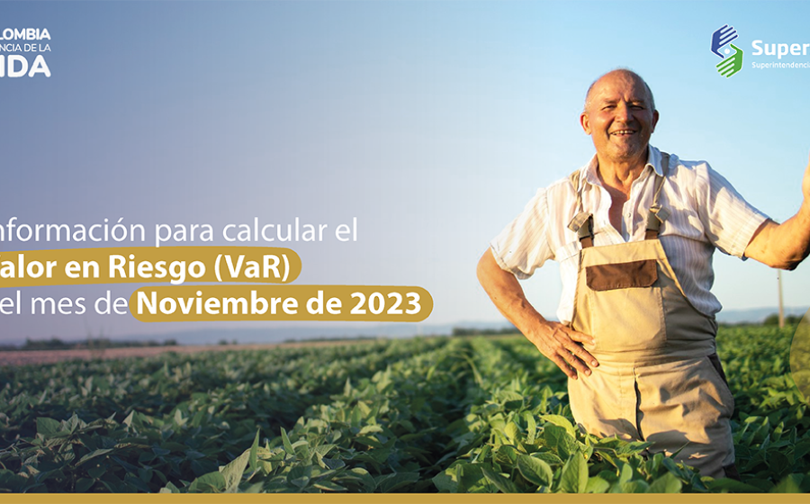 Información para calcular el valor en riesgo (VaR) del mes de noviembre de 2023
