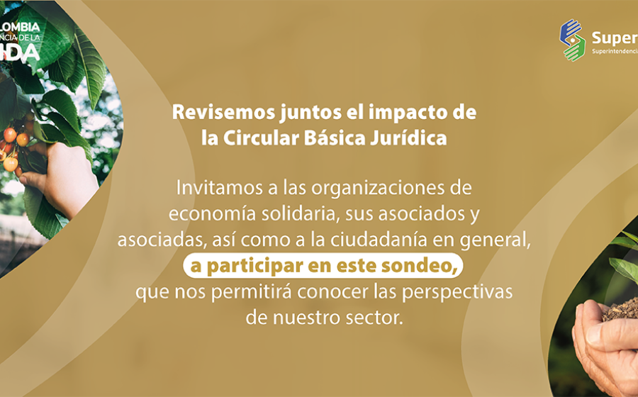 Sondeo Perspectivas Sector Solidario sobre Impacto Circular Básica Jurídica