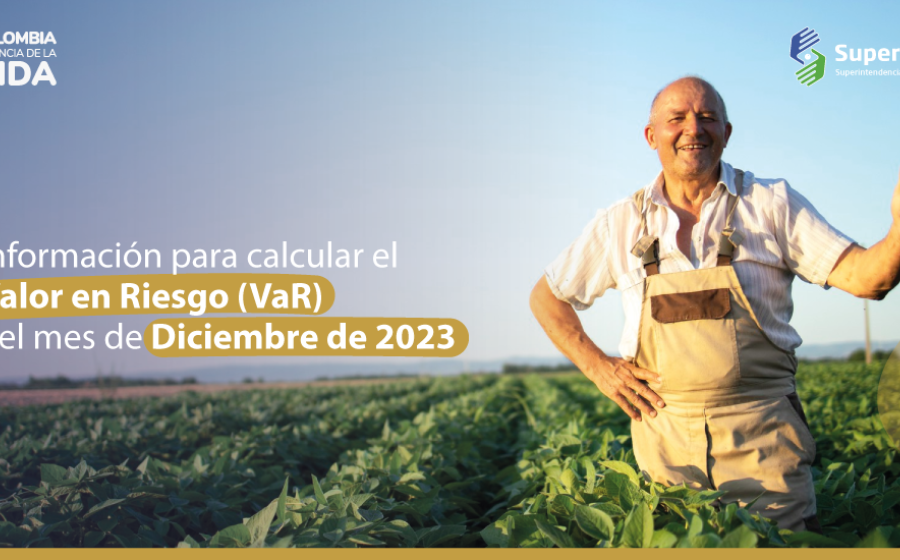 Información para calcular el valor en riesgo (VaR) del mes de diciembre de 2023