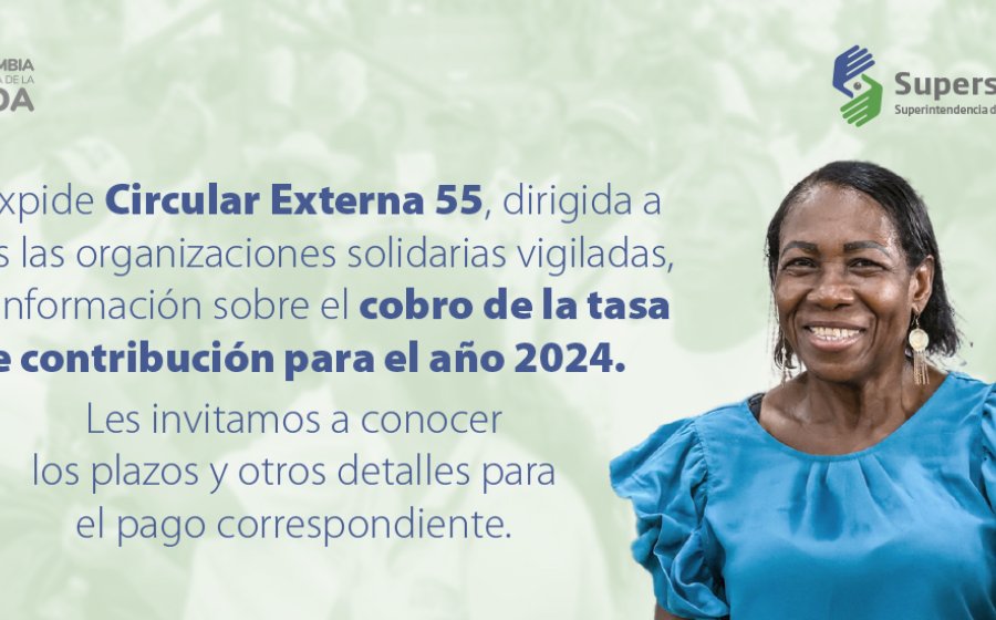 Pago tasa de contribución 2024