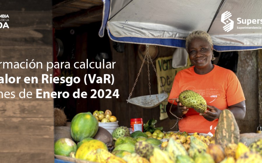 Información para el cálculo del Valor en Riesgo (VaR) del mes de enero de 2024