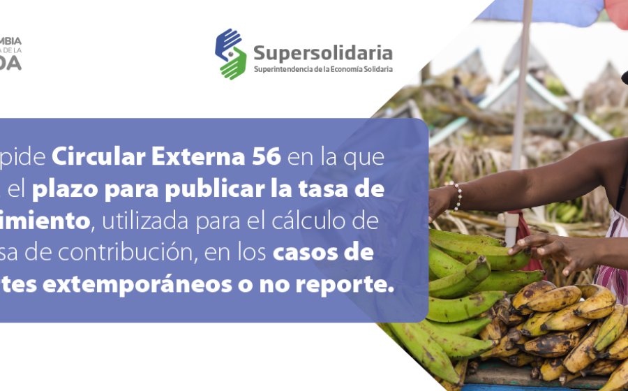 Plazo Publicación Tasa de Crecimiento