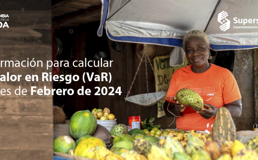 Información para el cálculo del Valor en Riesgo (VaR) del mes de febrero de 2024