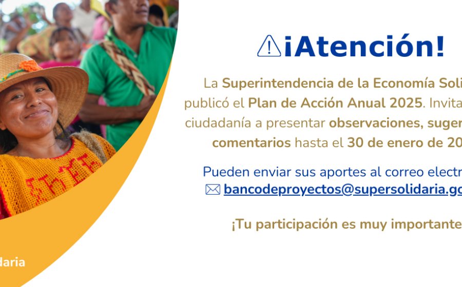 Plan de Acción Anual 2025 a Comentarios