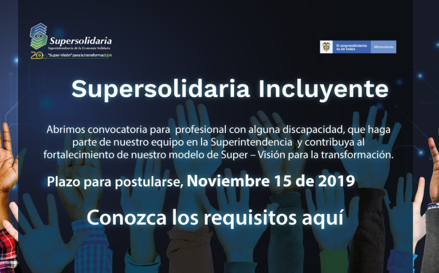 Convocatoria para profesional en condición de discapacidad