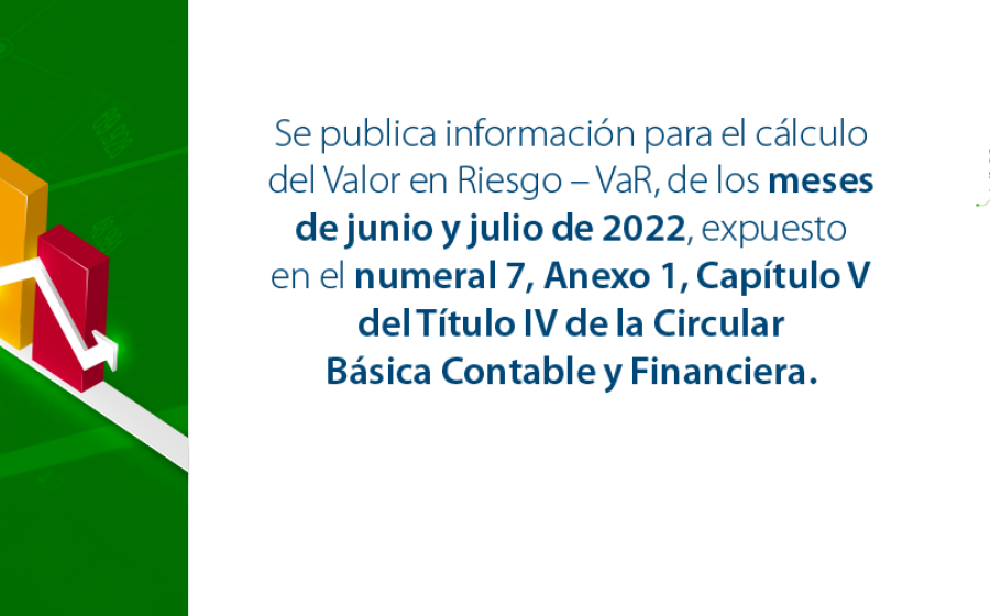 Información para el cálculo del Valor en Riesgo – VaR junio y julio
