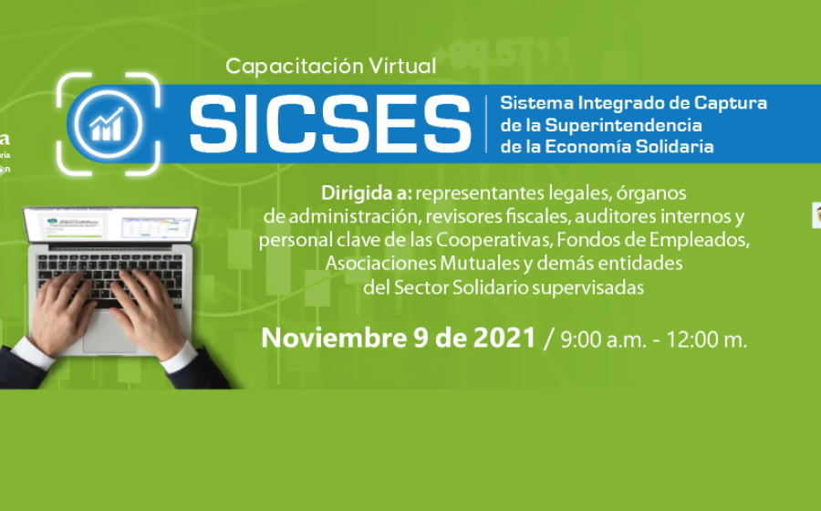 Capacitación Virtual Sistema Integrado de Captura SICSES