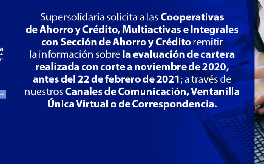 Se solicita remitir información evaluación cartera corte noviembre 2020