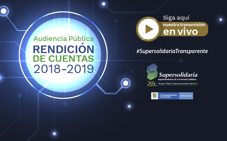 Audiencia Pública de Rendición de Cuentas 2018 - 2019