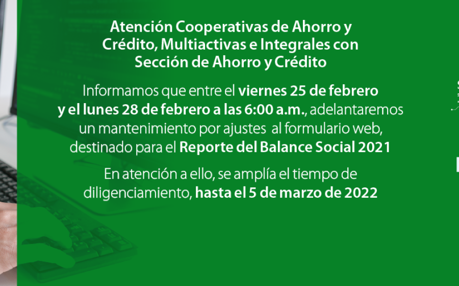 Ventana de Mantenimiento Formulario Web Balance Social 2021